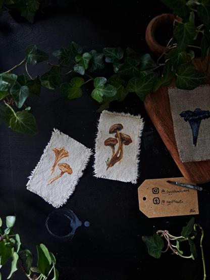 Three small unstretched pieces of canvas with tiny mushroom paintings on them. First one on the left has two yellow chantarelles, middle one three funnel chantarelles and last one on the left one black chantarelle. The paintings are laying on a black table top with a green ivy vine next to them.
