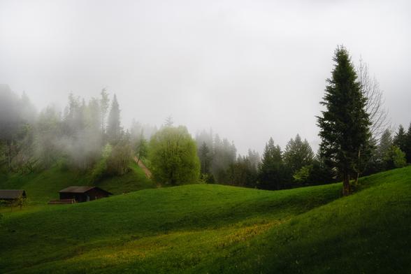 Landschaft im Emmental mit Nebel.