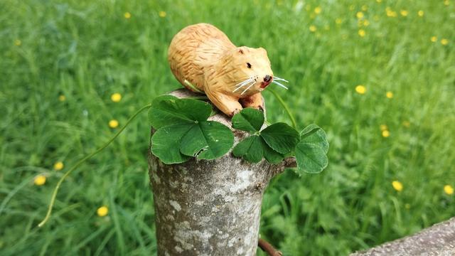 Un ragondin en bois sur un poteau. Il tient 3 trèfles à 4 feuilles