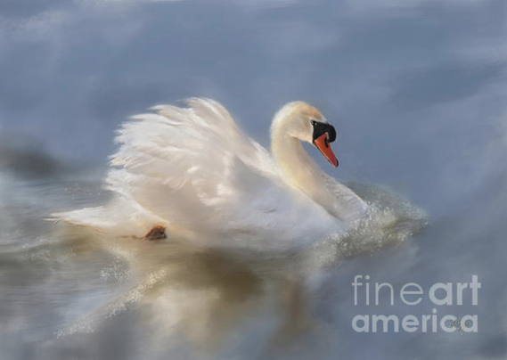 So happy that "Wild Beauty Painted" tied for third place in the #FineArtAmerica 5/8/2025 contest "Our Home Earth Month Gods Creation" contest held by the Milwaukee Mission Artwork group. Many thanks to contest and group administrator, Terence McSorley, and everyone who voted for my image. Congratulations to the other winners.

https://fineartamerica.com/featured/wild-beauty-painted-lois-bryan.html

#art #giftideas #swans #nature #wildllife #birds #digitalhandpainting #NotAi #CorelPainter #LoisBryan