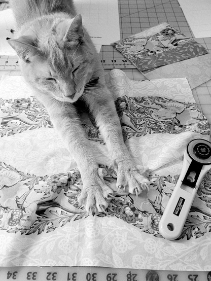 A black and white photo of a tabby cat stretching on a piece of dinosaur patterned fabric.
