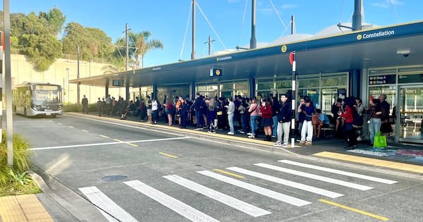 Delays plague Auckland bus line after route changes