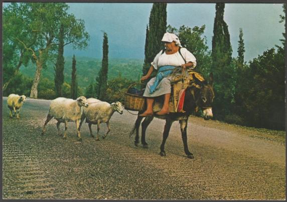 Printed colour postcard showing a view of a peasant woman on a donkey leading her flock though the lanes of Corfu, Greece.

Published by Soph. Raphaelakis & Aghios Nicolaos, Crete, No 92, c.1960s.

Postally unused.

Good condition, with very slight corner bumps, but light bend to far right side.