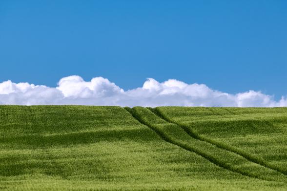 Photo of a blue sky with white clouds over a green field.