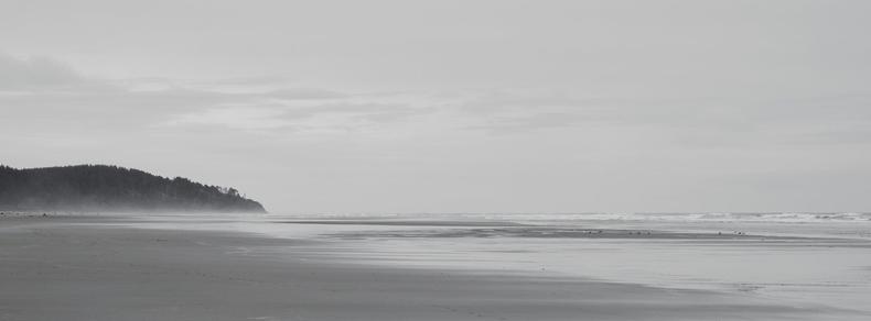 A Black and white Image of a beach. The ocean waves are rolling in from the right side of the photo where seagulls are gathered. The left side has a large forested hill in the distance.