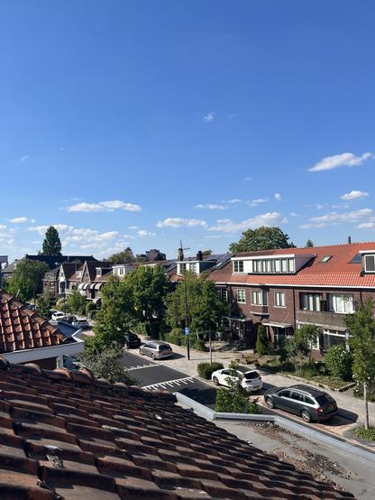 Foto uit het zolderraam met de Molen op de achtergrond.