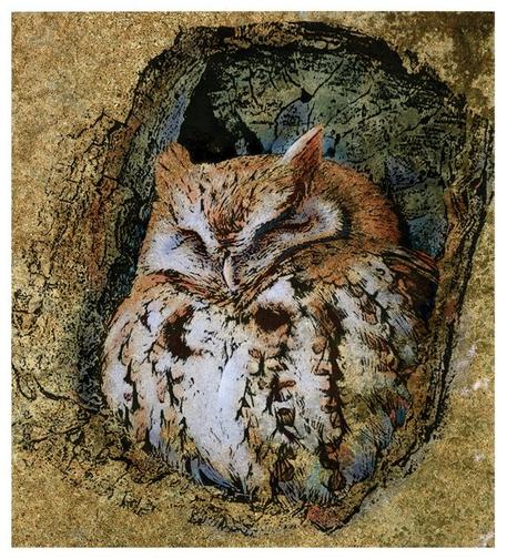 On a highly textured background of golds and greens, a linear drawing of a sleeping owl. Blues, pale lavender, oranges added to the owls face and body. NOTE: This description created especially for my lovely blind friend, Georgiana. :-)