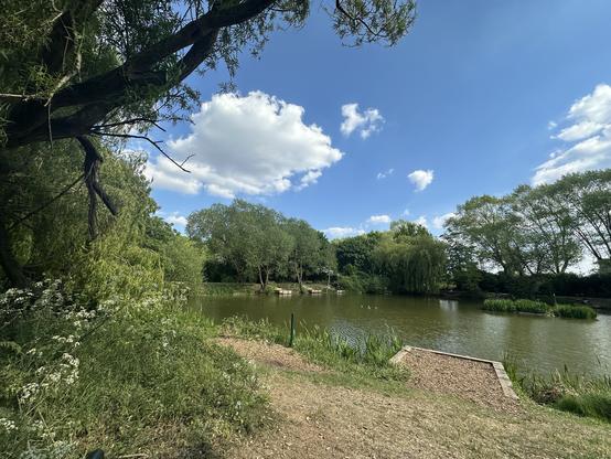 tranquil pond surrounded by lush greenery, under a sky dotted with fluffy white