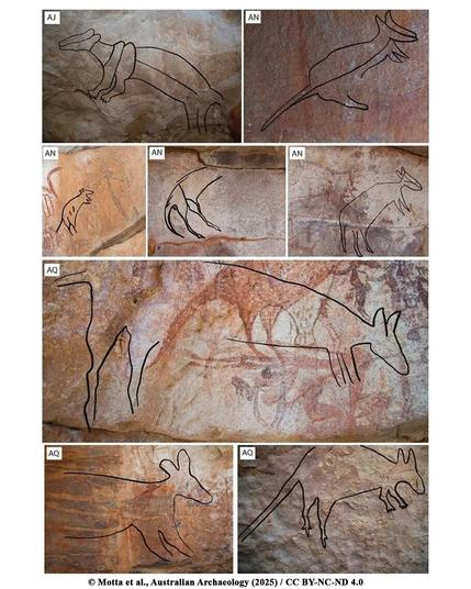 New Holocene Aboriginal rock art style identified in Australia

A recent study led by Dr. Ana Paula Motta, in collaboration with the Balanggarra Aboriginal Corporation, has uncovered a previously unknown style of rock art in Australia’s north-east Kimberley region. The findings, recently published in Australian Archaeology, propose the addition of a new category to the current Kimberley rock art sequence: the Linear Naturalistic Figures (LNF).

For a long time, a diverse series of regional animal motifs had been attributed to the Pleistocene-period Irregular Infill Animal Period (IIAP), known for their employment of dynamic and naturalistic depictions of animals such as kangaroos and wallabies, with irregular brushstrokes and diverse infill patterning. However, Dr. Motta and her team noted inconsistencies between some of these motifs that did not quite align with the characteristics of the IIAP...