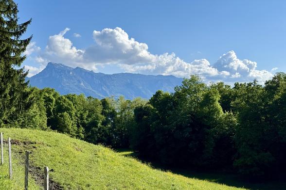 A scenic view featuring lush green trees and a grassy slope in the foreground, with towering mountains and a bright blue sky adorned with fluffy white clouds in the background.