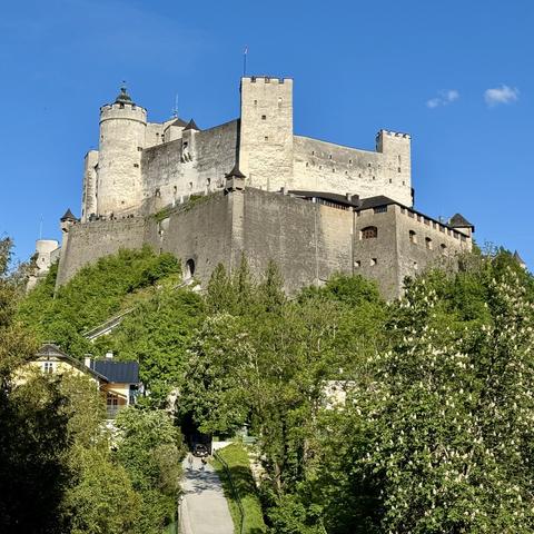 A large stone castle situated on a hill, surrounded by lush green trees and a clear blue sky. The castle features multiple towers and a variety of architectural elements. A pathway leads up to the castle, with buildings visible in the foreground.