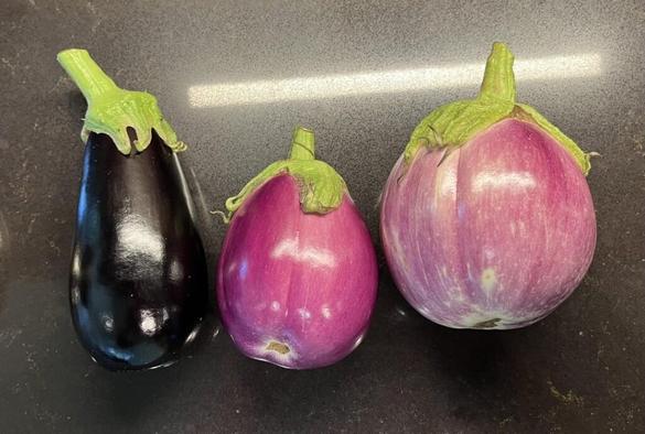First Eggplant for 2025