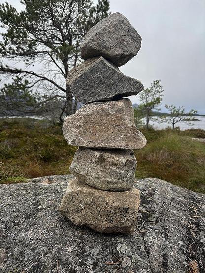 The image shows a stack of six rocks arranged in a balanced pile, an example of a cairn, which is often used as a trail marker or a land art piece. The background features wild natural scenery with a tree and hints of a water body, likely a lake, under an overcast sky. The environment suggests a somewhat rugged, natural setting typical of forested outdoor areas. The rocks are of various sizes and shapes, placed with larger stones at the base to support smaller ones on top, demonstrating a careful balance.