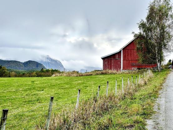 This image presents a scenic rural landscape featuring a large red barn on the right side with a weathered facade. A lush green field stretches out in front of the barn, bounded by a simple fence on the left and a dirt path, suggesting a farm setting. On the left side, the image captures some tall grass and a wooden fence curving down the path. Behind the barn, mountain peaks covered partially by clouds and fog contribute to a dramatic background. Tall trees are also visible next to the barn, leading toward a cloudy sky, completing the pastoral scene.