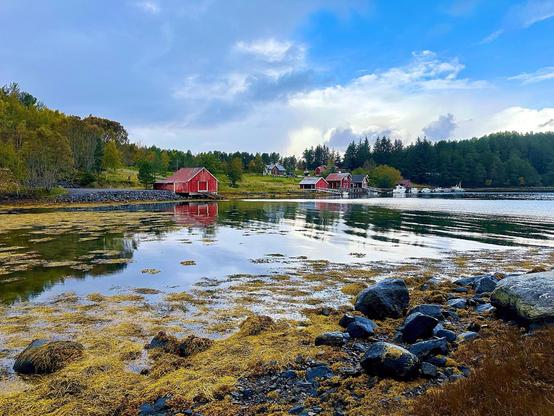 The image captures a scenic waterfront setting featuring a calm body of water reflecting a cloudy sky. A rocky shoreline with pale yellow seaweed and dark rocks is visible in the foreground. Across the water, there are several red wooden buildings, including a boathouse, set against a backdrop of dense green trees. The overall atmosphere suggests a peaceful, natural environment, likely in a northern or coastal location.