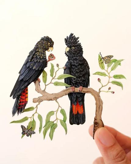 The image features a detailed, handcrafted illustration of two black cockatoos perched on a branch. The cockatoos have black feathers with yellow speckles on their heads and bright red markings on their tails. One cockatoo is holding a small red object in its beak, while the other looks on. The branch is adorned with green leaves and small buds, and two butterflies are present, one on a leaf and another near the branch. The background is a plain, light color, emphasizing the intricate details of the illustration. A hand is visible in the lower right corner, holding the branch, showcasing the miniature size of the artwork.

Provided by @altbot, generated privately and locally using Ovis2-8B