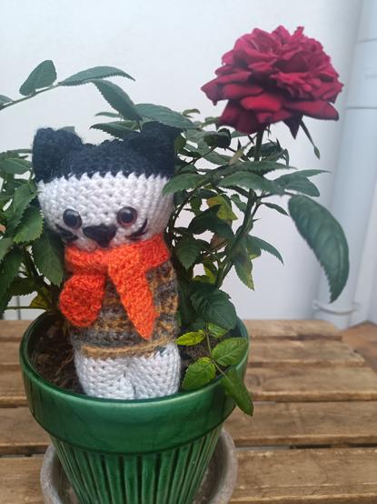 Amigurumi de chat en crochet avec un petit pull. Le chat est debout dans un pot de fleurs avec un rosier
