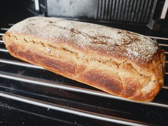 Loaf of home made bread resting on a rack. Brown crust is dusted with flour.
