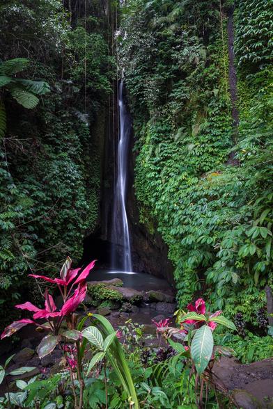 A narrow jungle waterfall cascades down a moss-covered rock wall into a small pool, surrounded by dense tropical foliage and vibrant pink plants in the foreground.