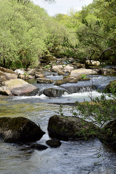 River dart