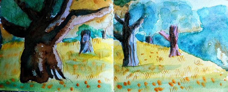 Olive tree grove in late afternoon light with marigolds in sun dried grass.