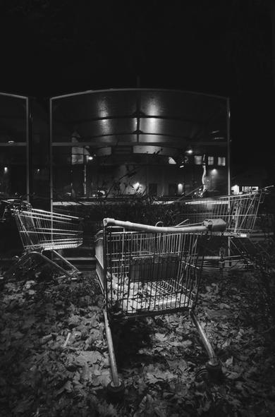 Schwarzweißbild im Portraitformat. Drei Einkaufswegen stehen mit ihren Vorderseiten in einem Dreieck zueinander in einem Haufen Blätter vom letzten Herbst. Dazwischen liegt auch einiges an Müll. Der vordere Wagen enthält sogar einige Blätter. Zwischen den Einkaufswägen ist ein Busch noch ohne Blätter der aber kaum zu sehen ist, genau wie rechts im Bild. Dahinter sieht man zwei Überdachungen von weiteren Einkaufswägen die aber von diesen drei getrennt sind. Außerdem sieht man ein paar Lichter und Reflexionen vom Supermarkt dahinter. Die drei Einkaufswägen werden vom Licht im Bilder hervorgehoben wodurch diese etwas heller sind als der Rest des Bildes. Der vordere Einkaufswagen hat eine ziemlich demolierte und verbogene Haltestange und der Rechts hat gar keine mehr, da diese im Wagen selbst liegt. Das ganze wirkt eher düster und geheimnisvoll.