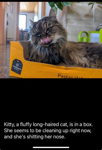 Picture and caption from OP.   Auto translate from Deutsch to English has rendered that kitty is “shitting her nose”