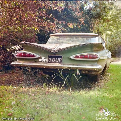 A vintage green car with prominent tail fins sits abandoned in grassy foliage.