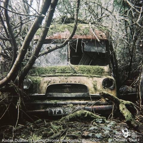 A moss-covered, rusty Bedford van sits abandoned in a dense, overgrown forest