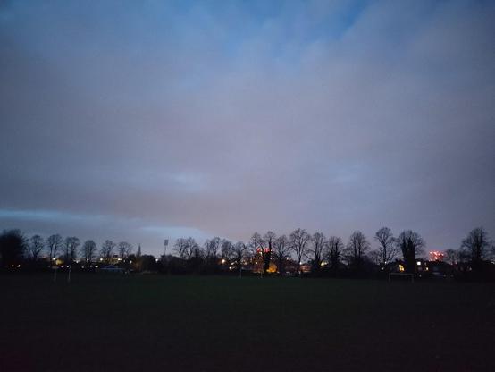A line of trees with lit buildings behind them under an early evening sky.