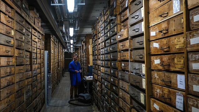 Dans les archives de la Terre : épisode 1/4 du podcast Les nuits au musée  | Radio France