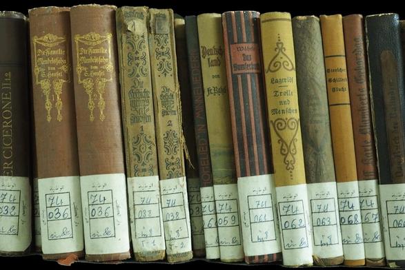 Alte Bücher mit Signaturen in einem Regal