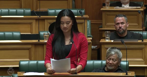 Te Pati Maori MP Hana-Rawhiti Maipi-Clarke speaks during the second reading of the Treaty Principles Bill. Te Pati Maori MP Hana-Rawhiti Maipi-Clarke speaks during the second reading of the Treaty Principles Bill.