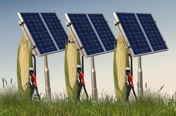 New study compares growing corn for energy to solar production. It’s no contest.