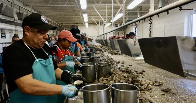 H-2B visa seasonal workers at Cowarts Seafood