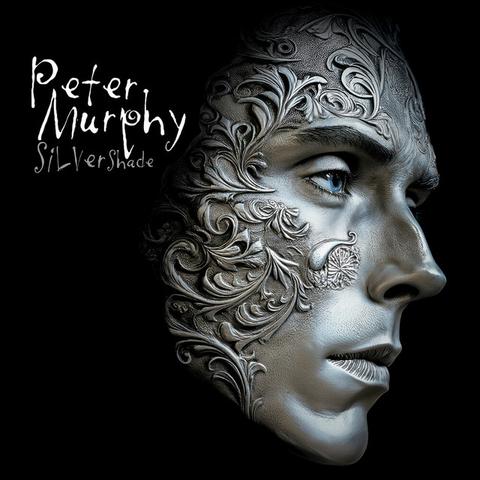 Image for Silver Shade by Peter Murphy