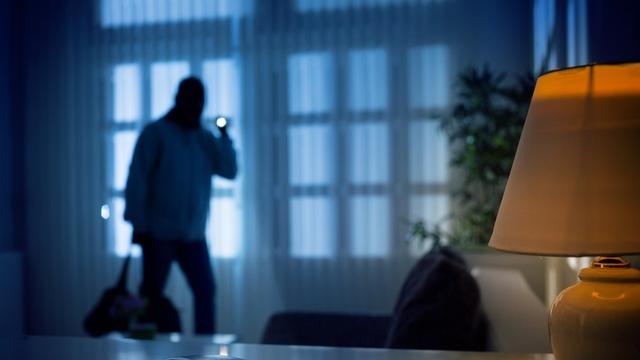 RTL Infos - Plusieurs personnes arrêtées: De nombreux vols et cambriolages signalés au Luxembourg