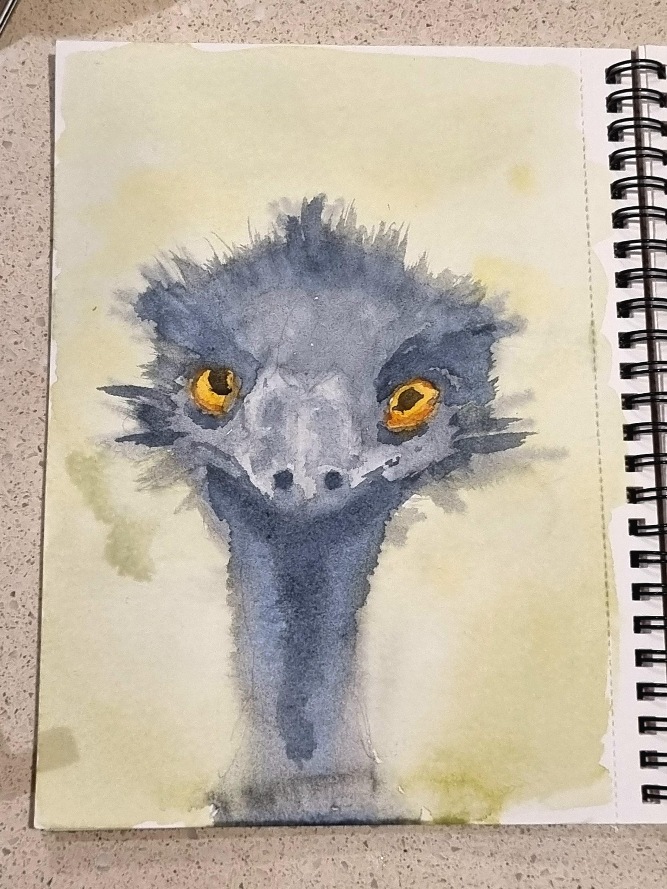 Watercolour painting of an emu, looking directly at the viewer. 