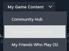 A screenshot of a dropdown menu on a Steam web page. The selected element is virtually impossible to read.