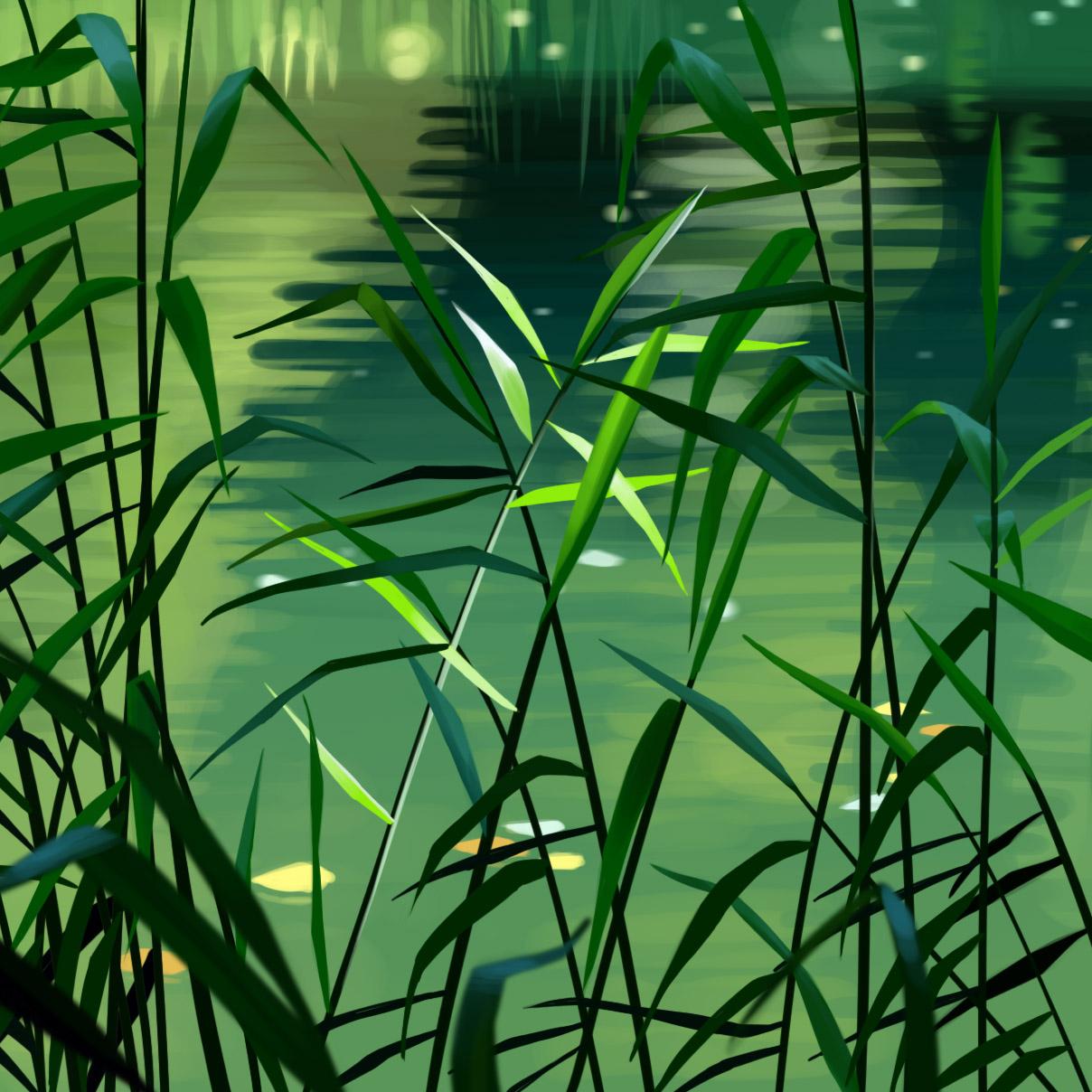 Link Preview Image