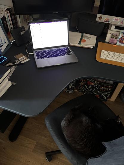 A desk with an open MacBook. On the chair lies a black cat rolled up occupying the seat.