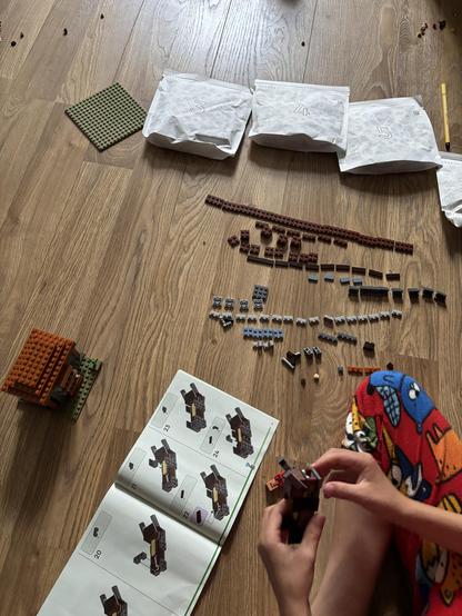 My son building LEGO and the unused pieces are neatly sorted and organized