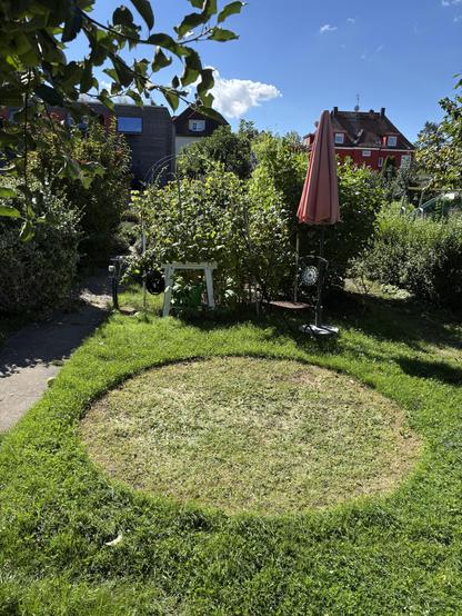 A small piece of grass in a garden but in the middle is a perfect circle of
pressed down grass in the ground