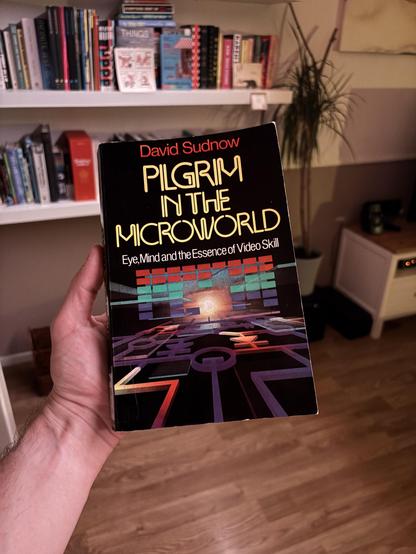 My hand holding the book „Pilgrim In The Microworld — Eye, Mind and the Essence of Video Skill“ by David Sudnow