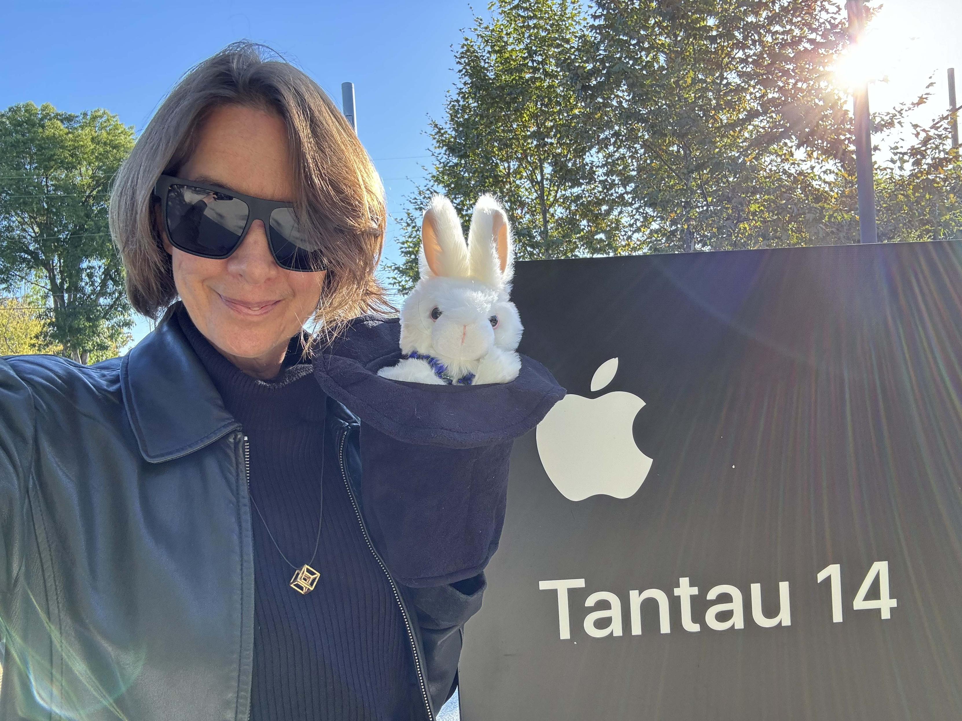 Sorry, no caption provided by author