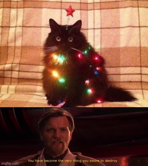 First image: A cat dressed up as a Christmas tree.
Second image: Obi-Wan Kenobi from Star Wars saying "You have become the very thing you swore to destroy."