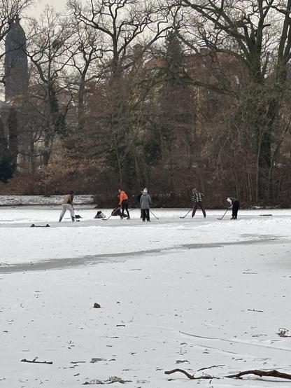 Eine Gruppe Leute mit Hockey-Ausrüstung auf einem zugefrorenen Teich im Großen Garten