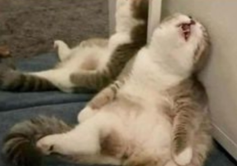 Posted media