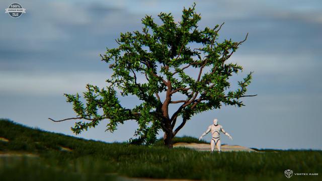 For this #ScreenshotSaturday WIP of procedural tree in Blender's geometry nodes. Now working on better leaves. #b3d #nod