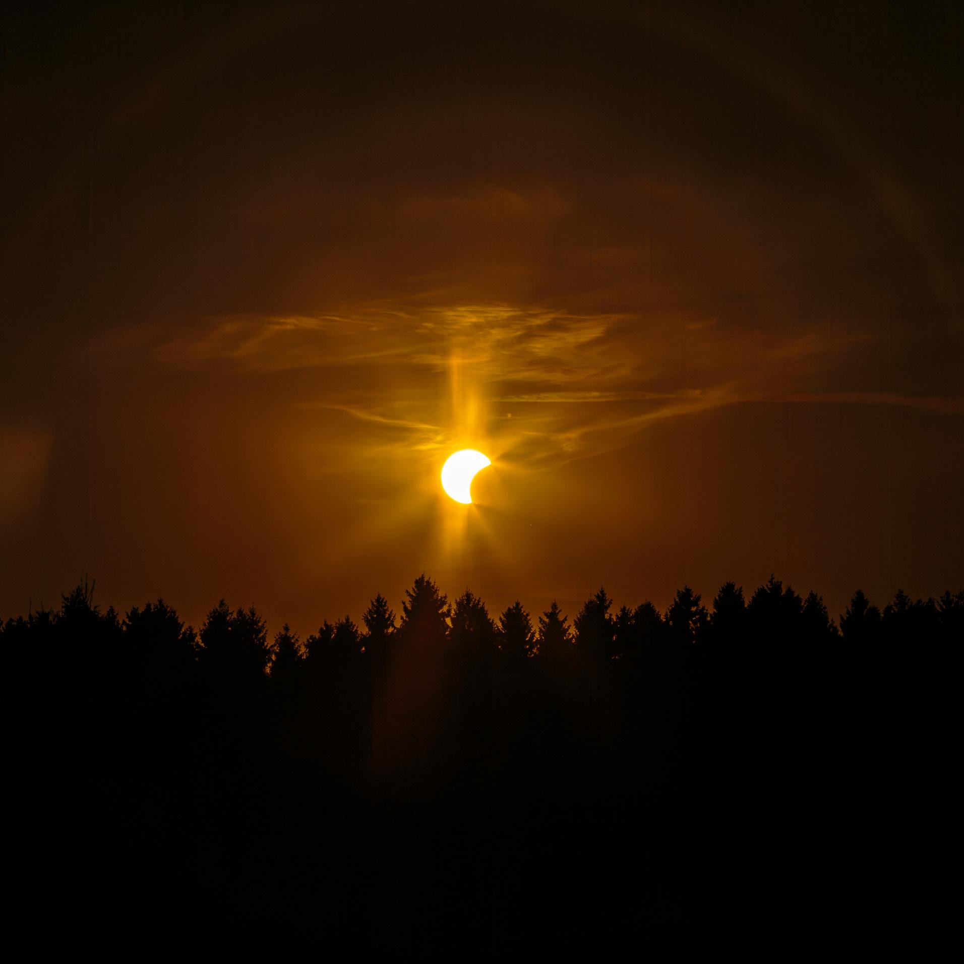 Photo of the partial solar eclipse with the sun in center that looks like a moon, with a dark orange sky around it, in front the silhouette of a tree line.